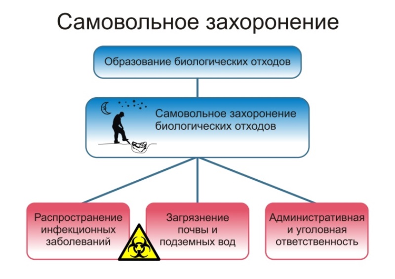 Памятка О неотложных действиях при заболевании и/или падеже животных, и правилах безопасного обращения с биологическими отходами.